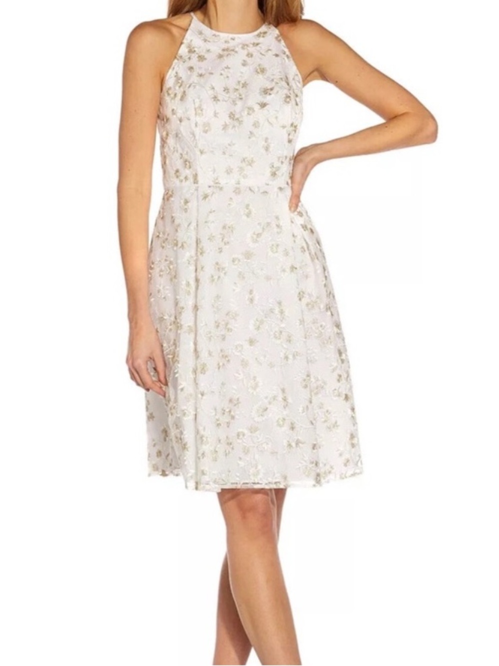SALE ADRIANNA PAPELL Metallic Embroidered Dress